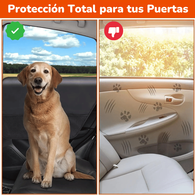 PatiShield (Pack de 2) - Protección Total para tus Puertas