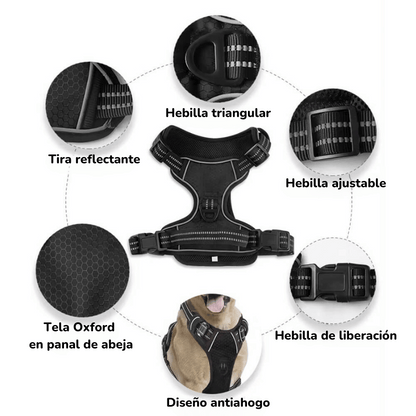 PatiGuard – Pack de Arnés de Seguridad para Perros